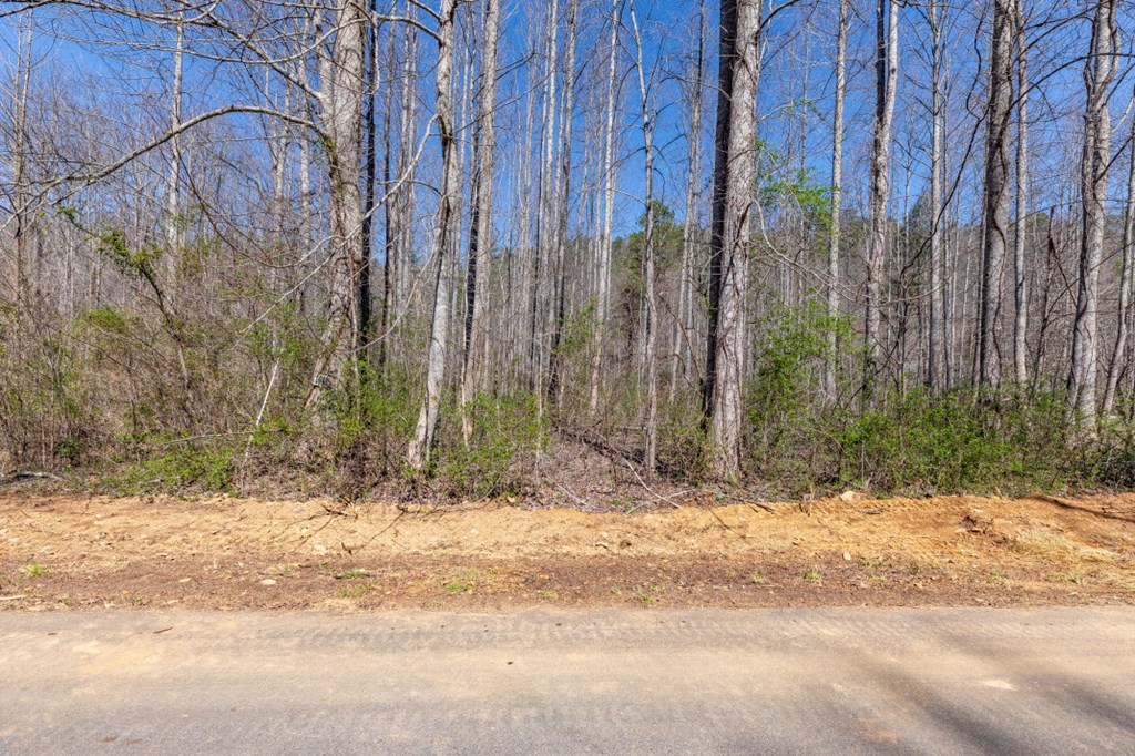 Lots 12+ Tusquittee Crossing