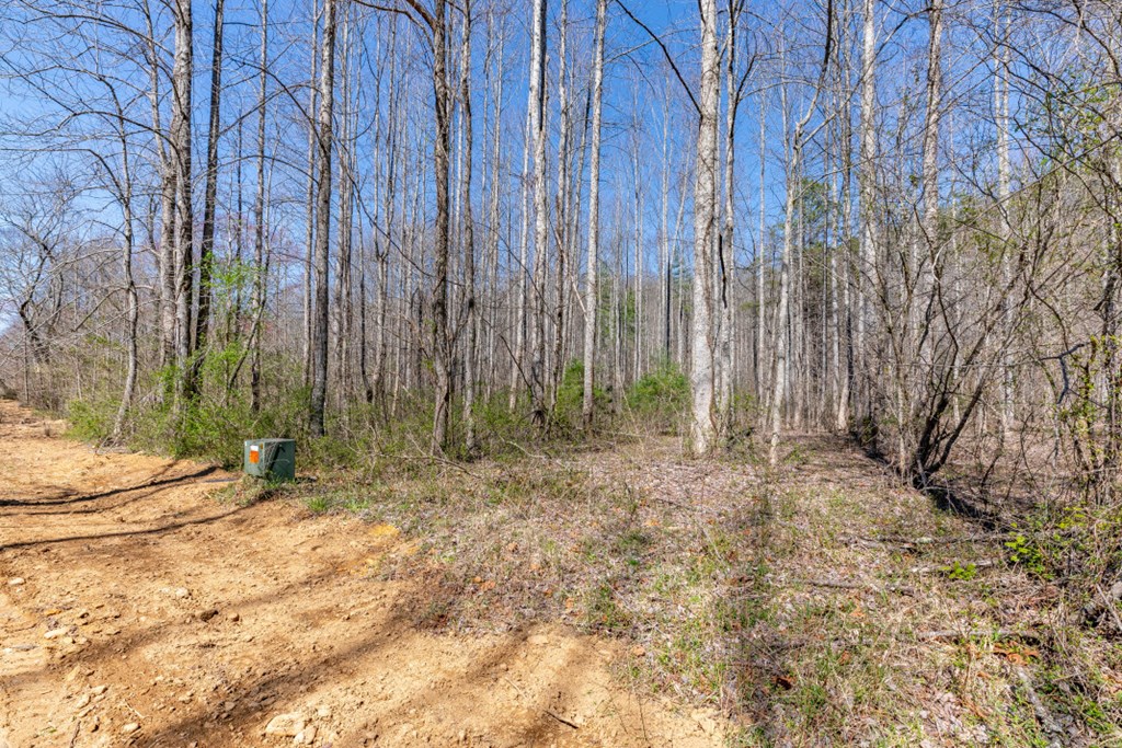 Lots 12+ Tusquittee Crossing