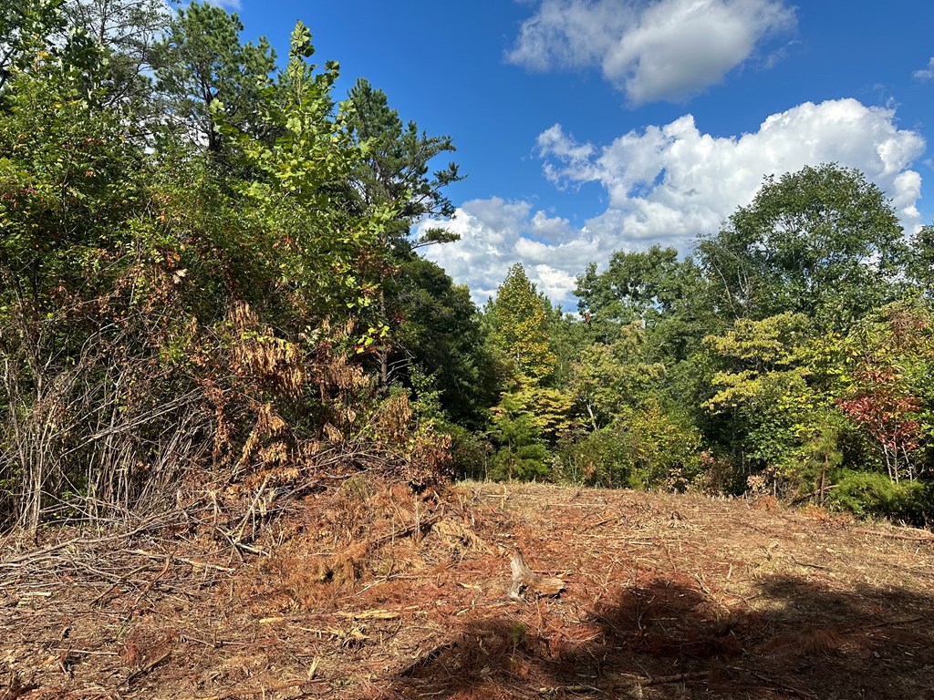 Lot 37 Wildflower Ridge