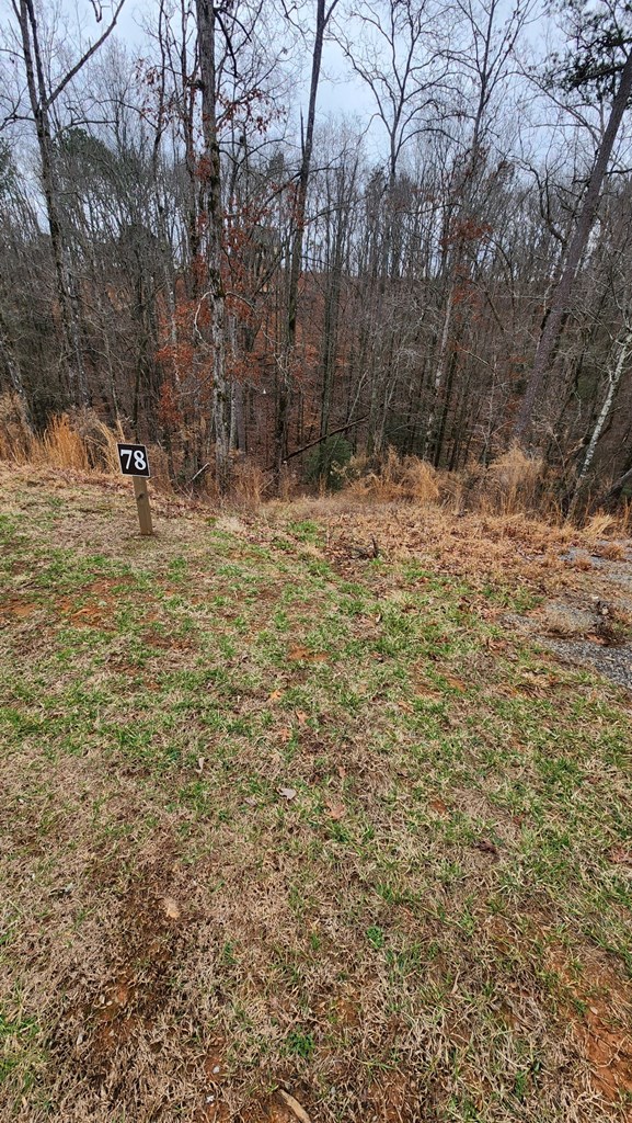 Lot 78 River Overlook Lane