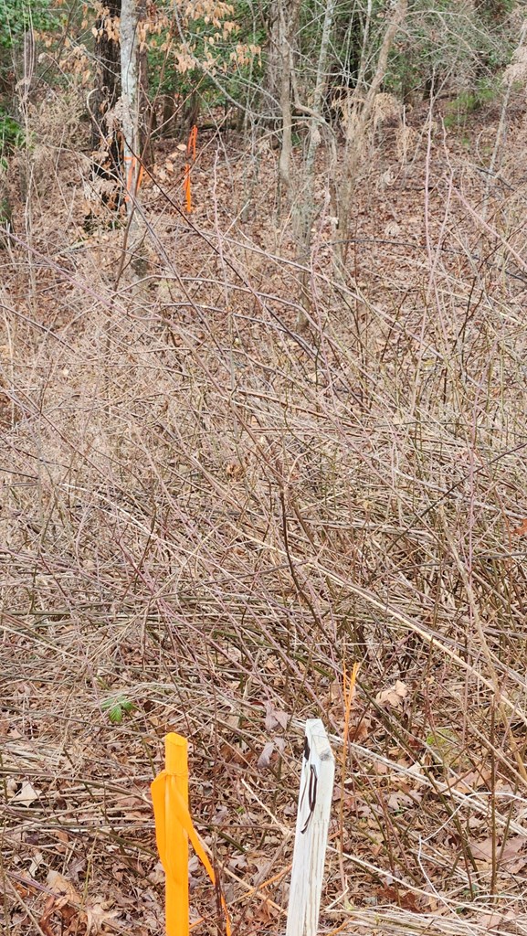 Lot 78 River Overlook Lane