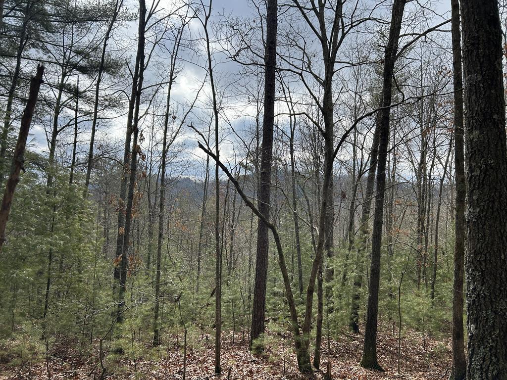56.6 Ac Cutcane Road