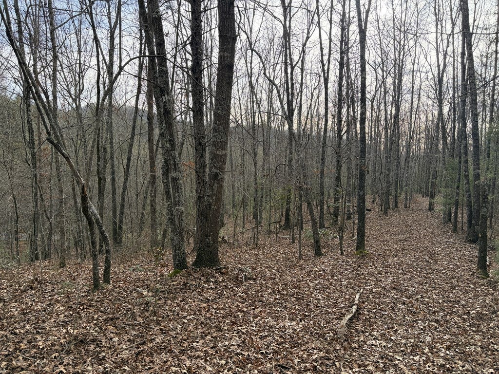56.6 Ac Cutcane Road