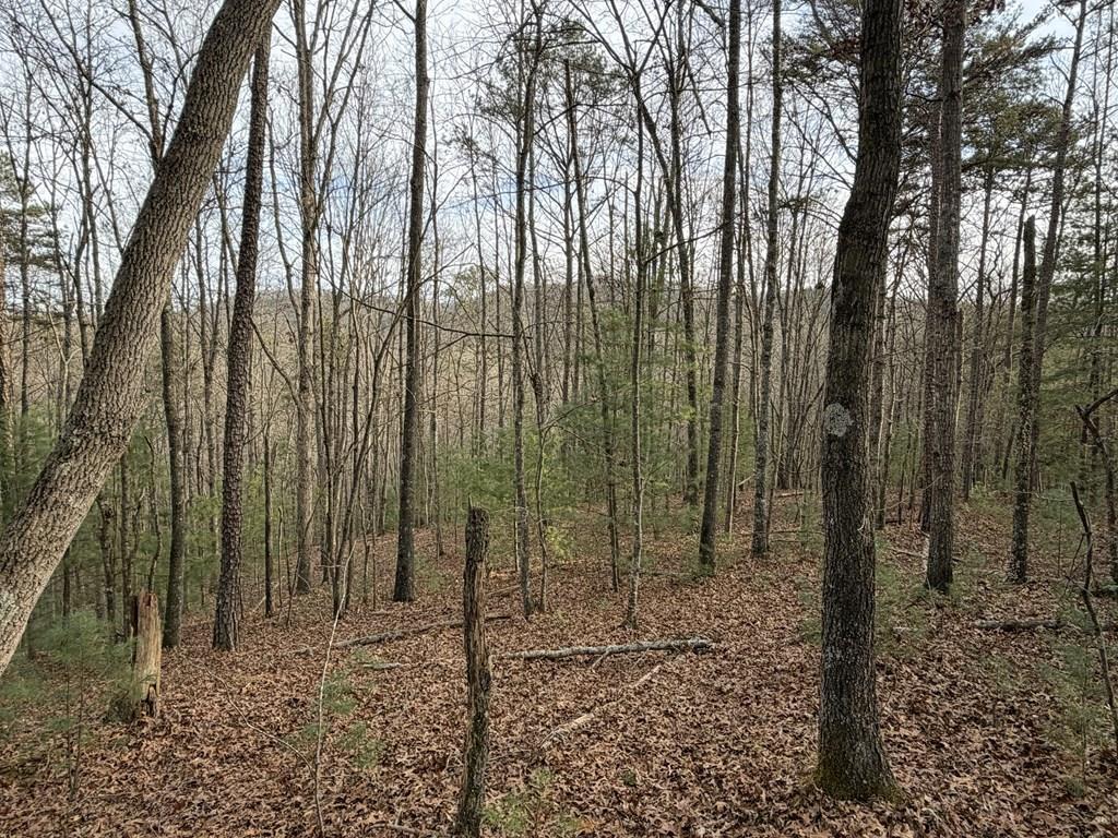 56.6 Ac Cutcane Road