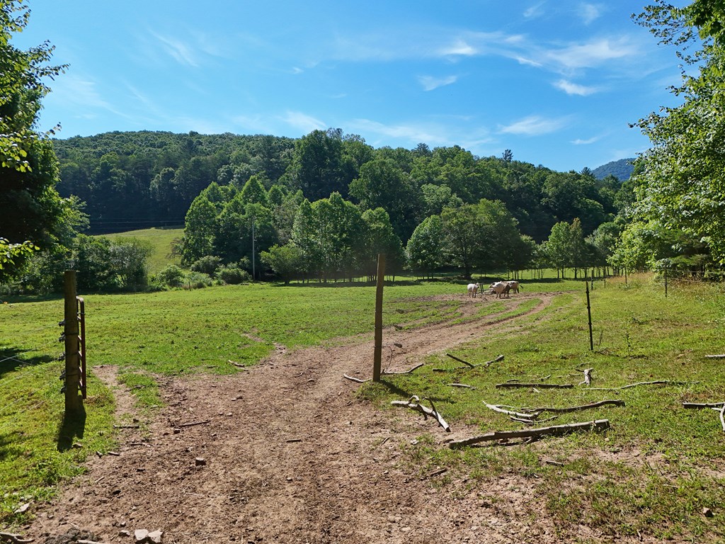 13.94AC Mount Pleasant Church Road