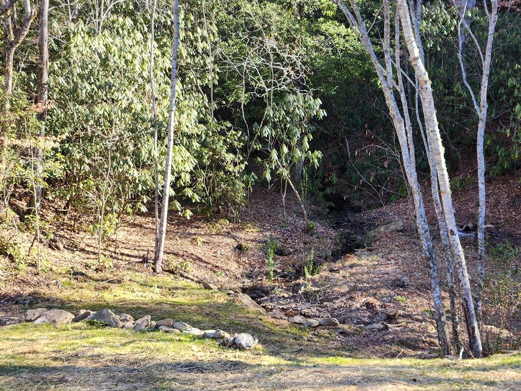 listing image 26