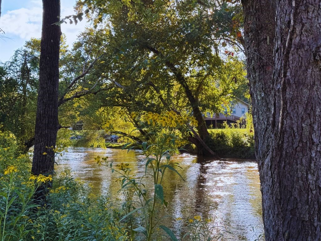 Lot 26 Turkey Creek Acres