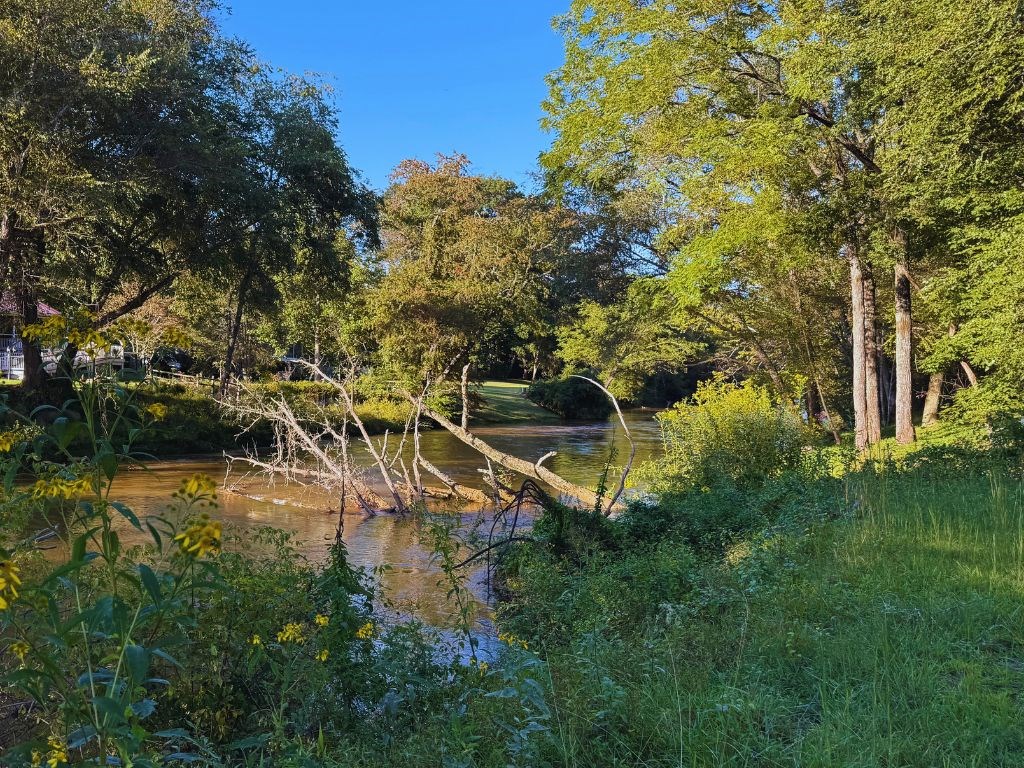 Lot 26 Turkey Creek Acres