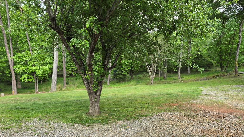 22 Smokey Creek Cove