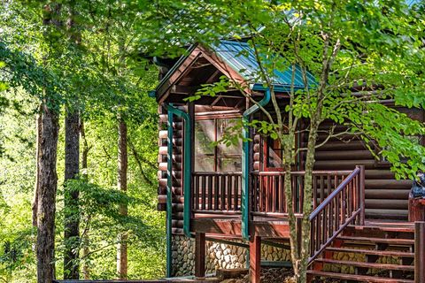 A home in Blue Ridge