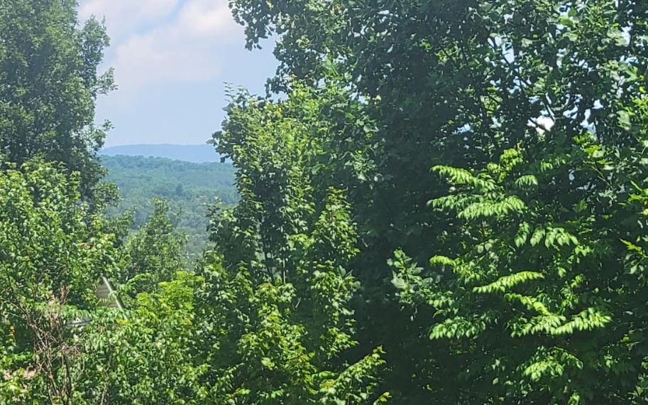 24 Mountain Knoll Lane