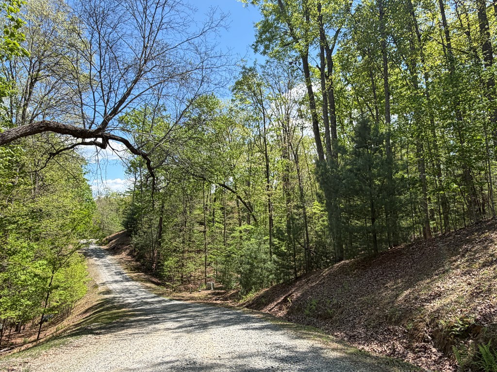 #16 Christian Crossing