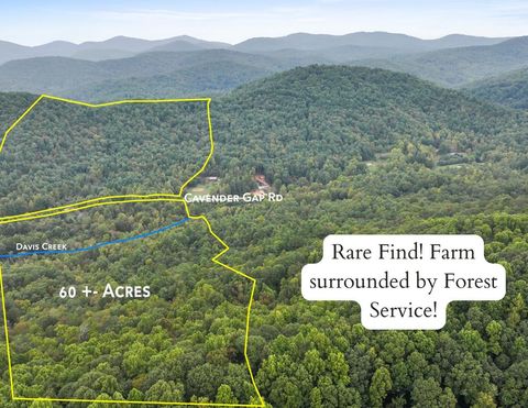 1955 Cavender Gap Road Suches GA 30572