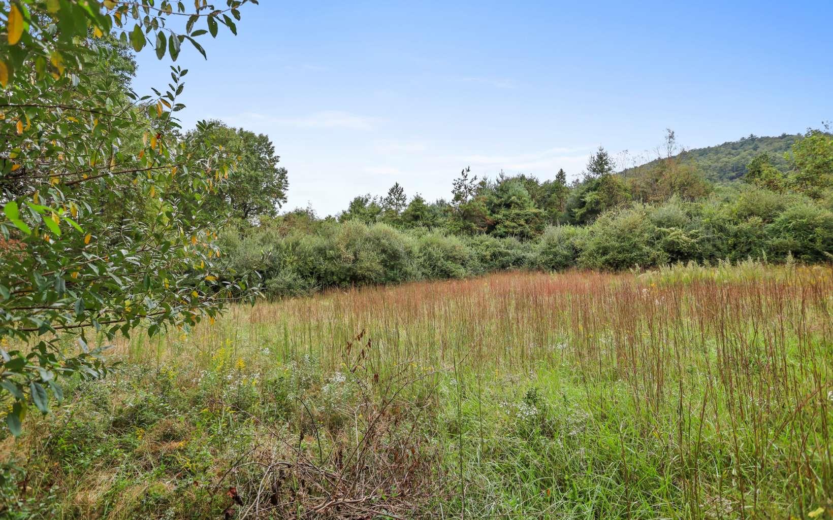 1955 Cavender Gap Road