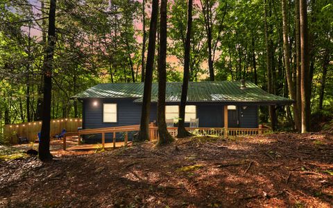 A home in Blue Ridge