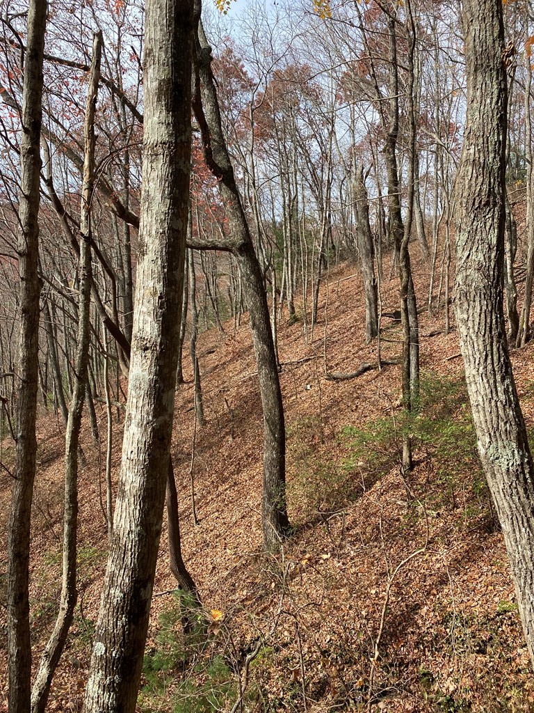 L334 335 Brushy Top Drive