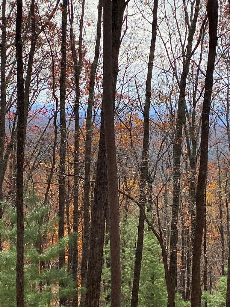 L334 335 Brushy Top Drive