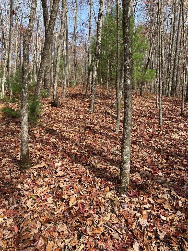L334 335 Brushy Top Drive
