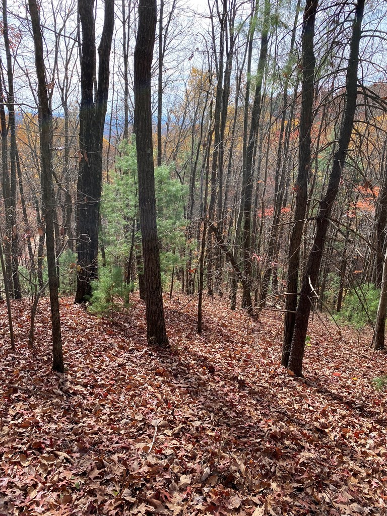 L334 335 Brushy Top Drive
