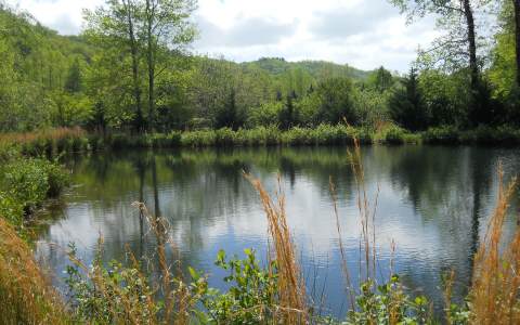 25 Tusquittee Crossing