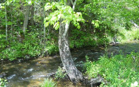 25 Tusquittee Crossing