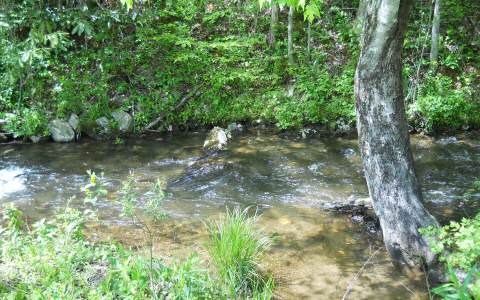 25 Tusquittee Crossing