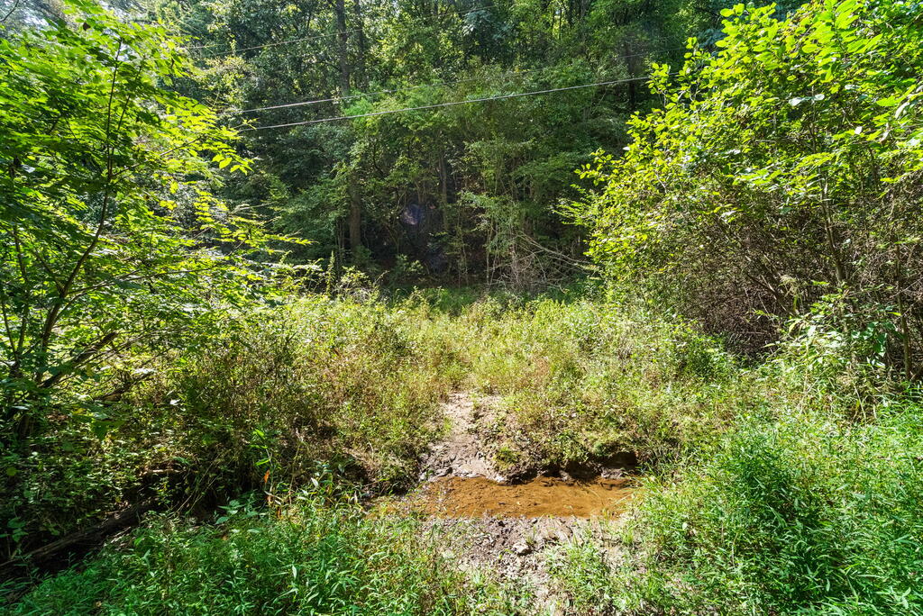 SR 1305 Qualla Road