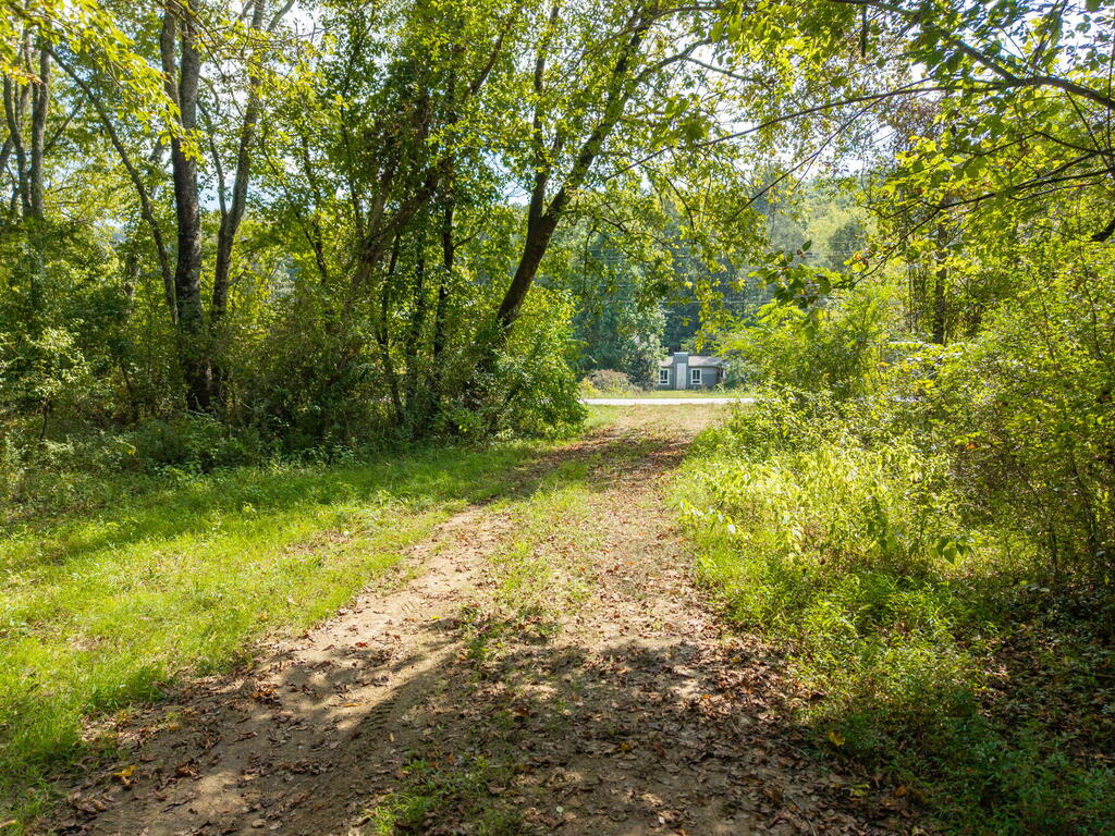 SR 1305 Qualla Road