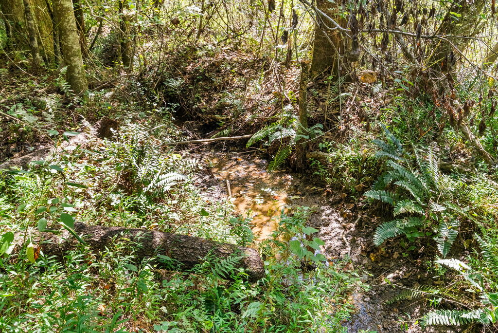 SR 1305 Qualla Road