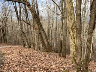 00 Hickory Trace