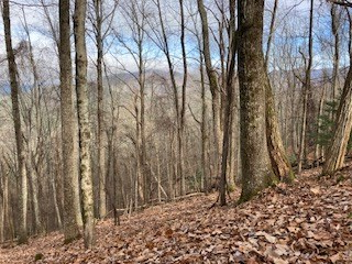 00 Hickory Trace