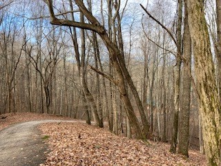 00 Hickory Trace