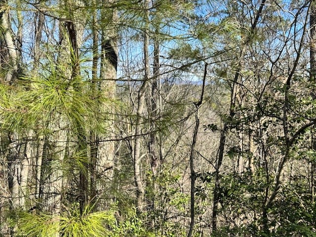 Lot 1198 Lancer Court