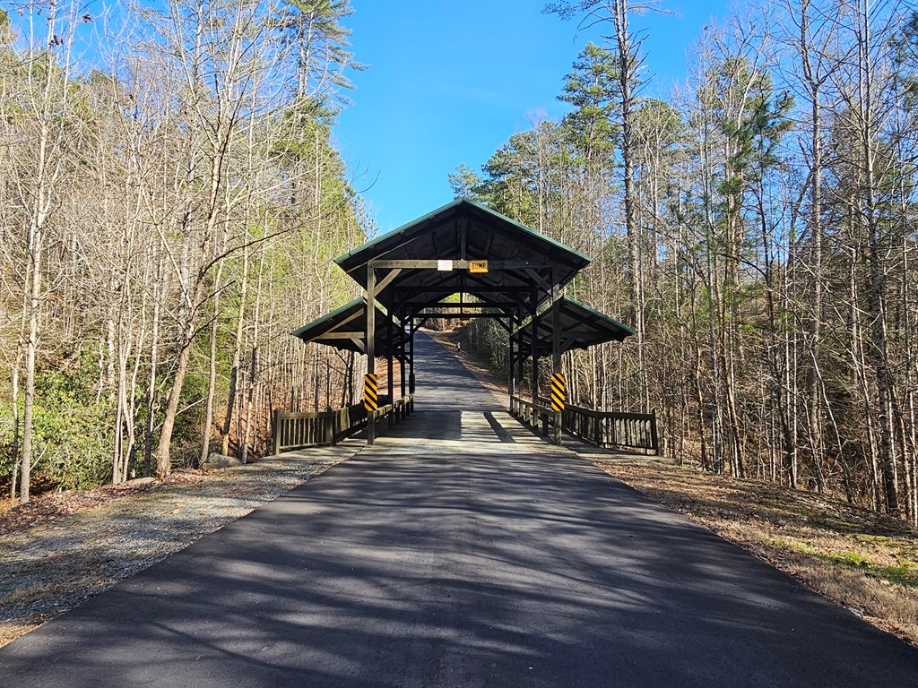 Lot 77 Roaring Forks Lane