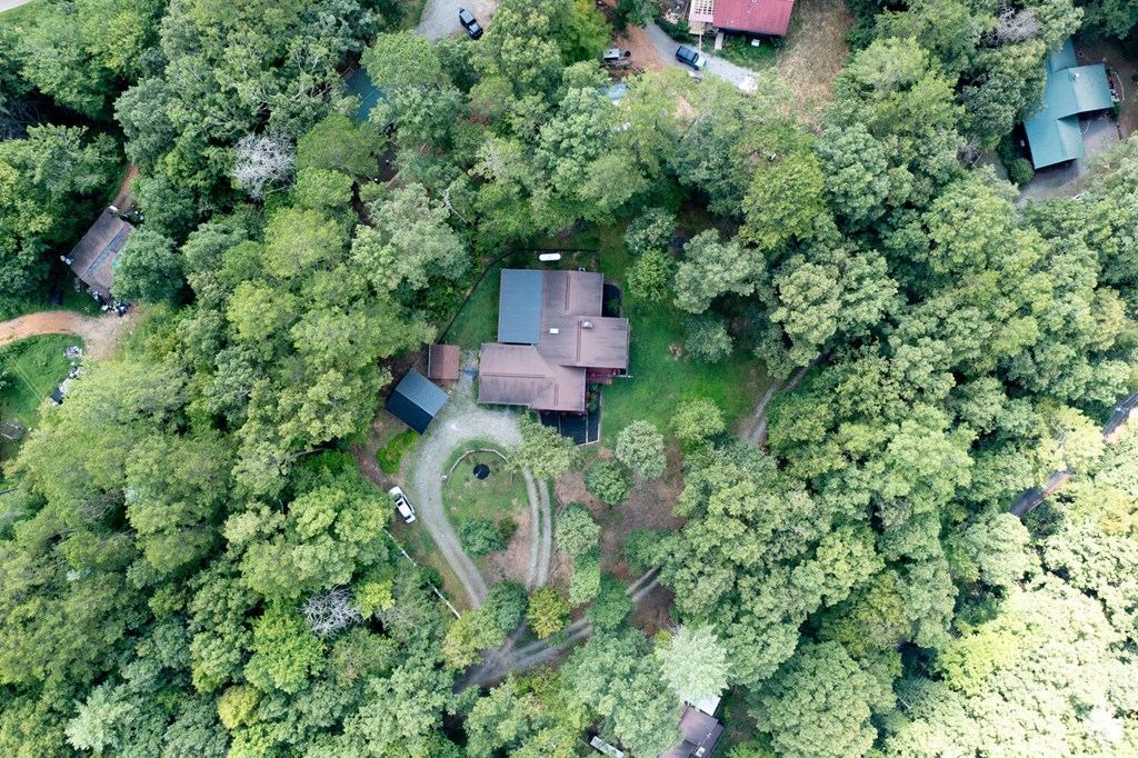 151 Bison Lane