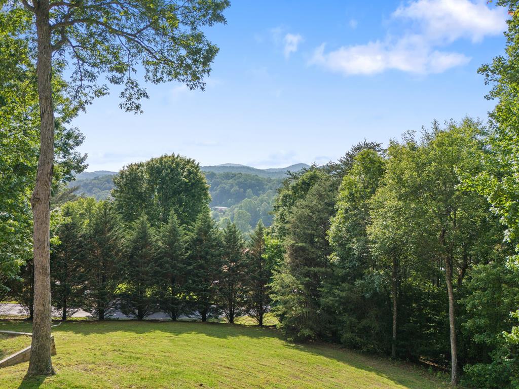 115 Wildcat Run Road