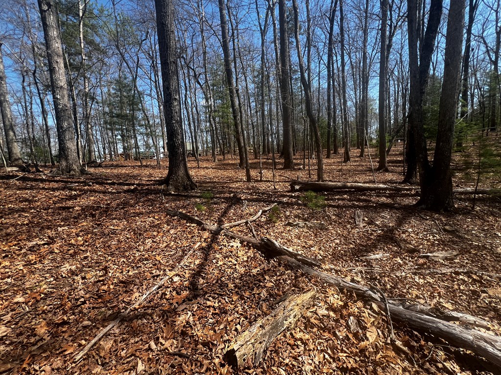 LOT 5 High Country Lane