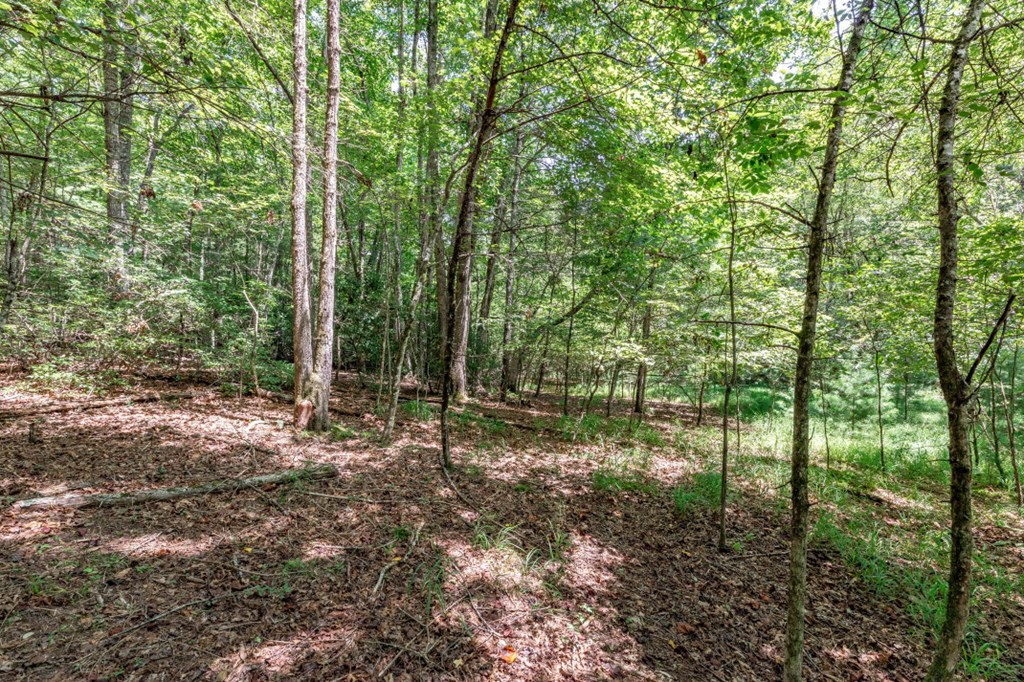 Lot 13 Rocking Chair Ridge