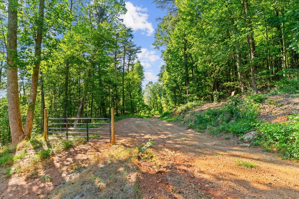 Lot 4-5 Firetower Road