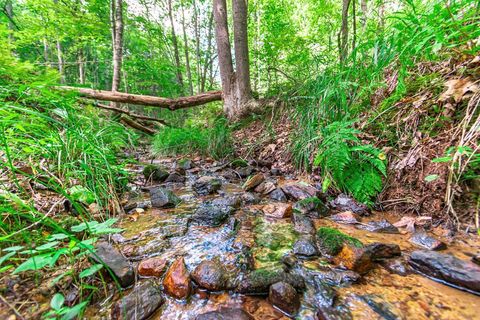 Lot 22 Meadow Brook Trail Morganton GA 30560