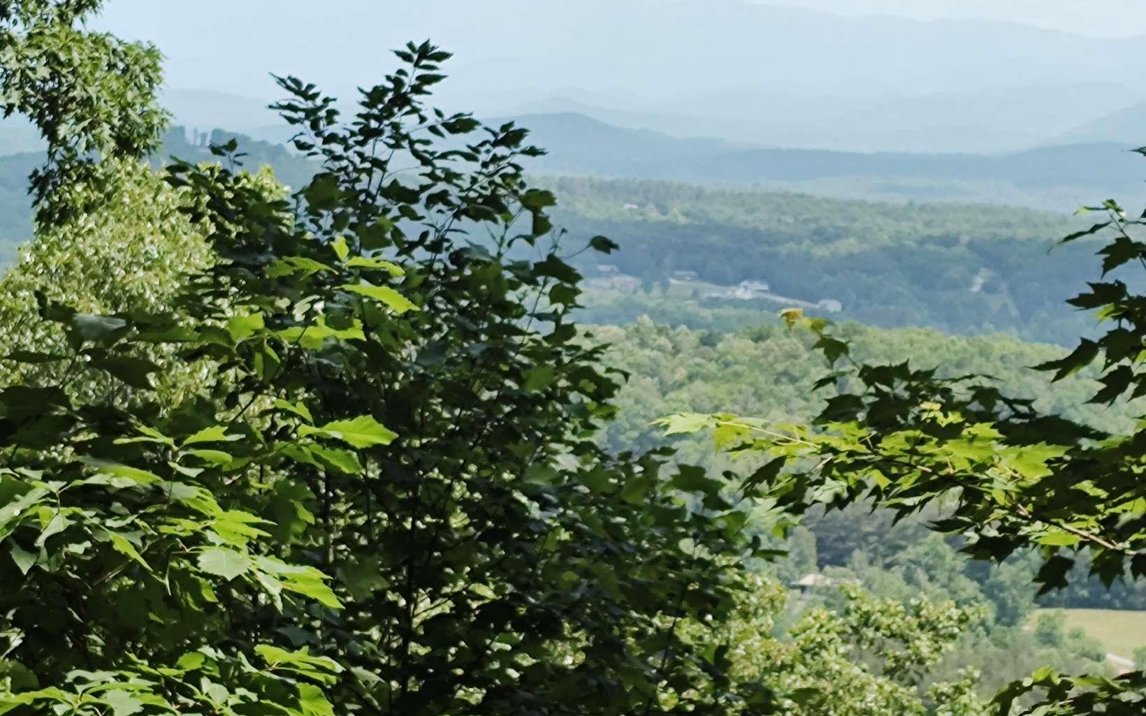 LT120 Croft Mountain Road