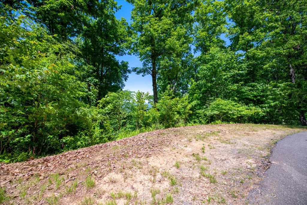 LT120 Croft Mountain Road