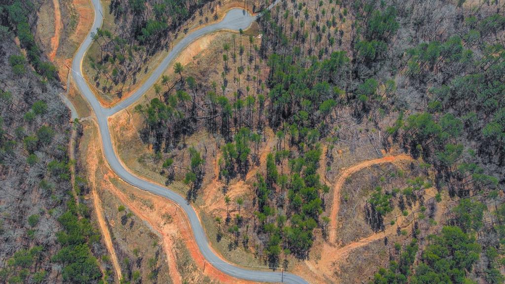 Ellijay, Georgia 30540, United States, ,Land,Active,62539