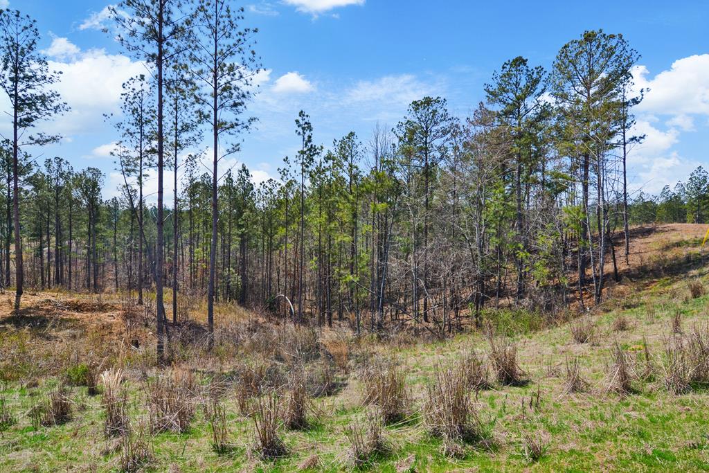 Lot 150R Blalock Mountain Road