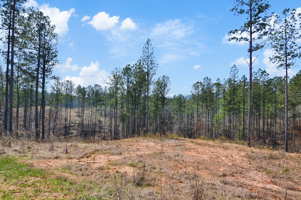 Ellijay, Georgia 30540, United States, ,Land,Active,62539