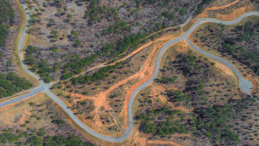 Ellijay, Georgia 30540, United States, ,Land,Active,62539