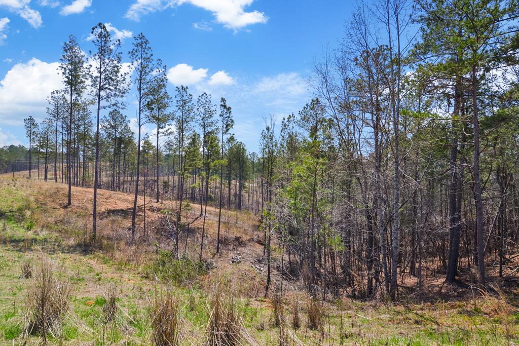 Lot 150R Blalock Mountain Road