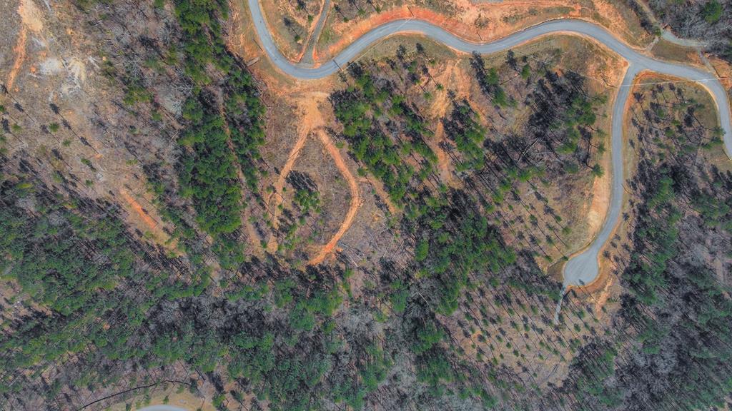 Ellijay, Georgia 30540, United States, ,Land,Active,62539