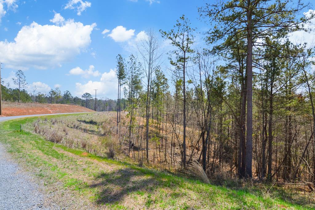 Lot 150R Blalock Mountain Road