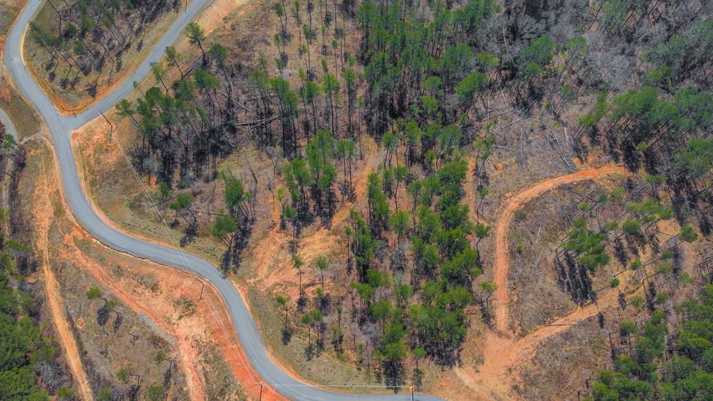 Ellijay, Georgia 30540, United States, ,Land,Active,62539